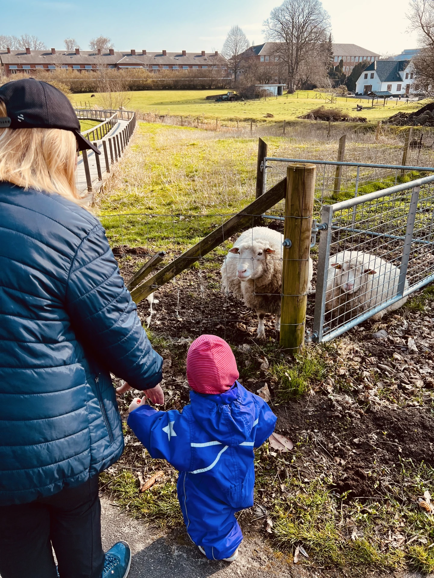 Solsikkens Privat Pasningsordning: En kærlig fredag med sjove aktiviteter og læring!