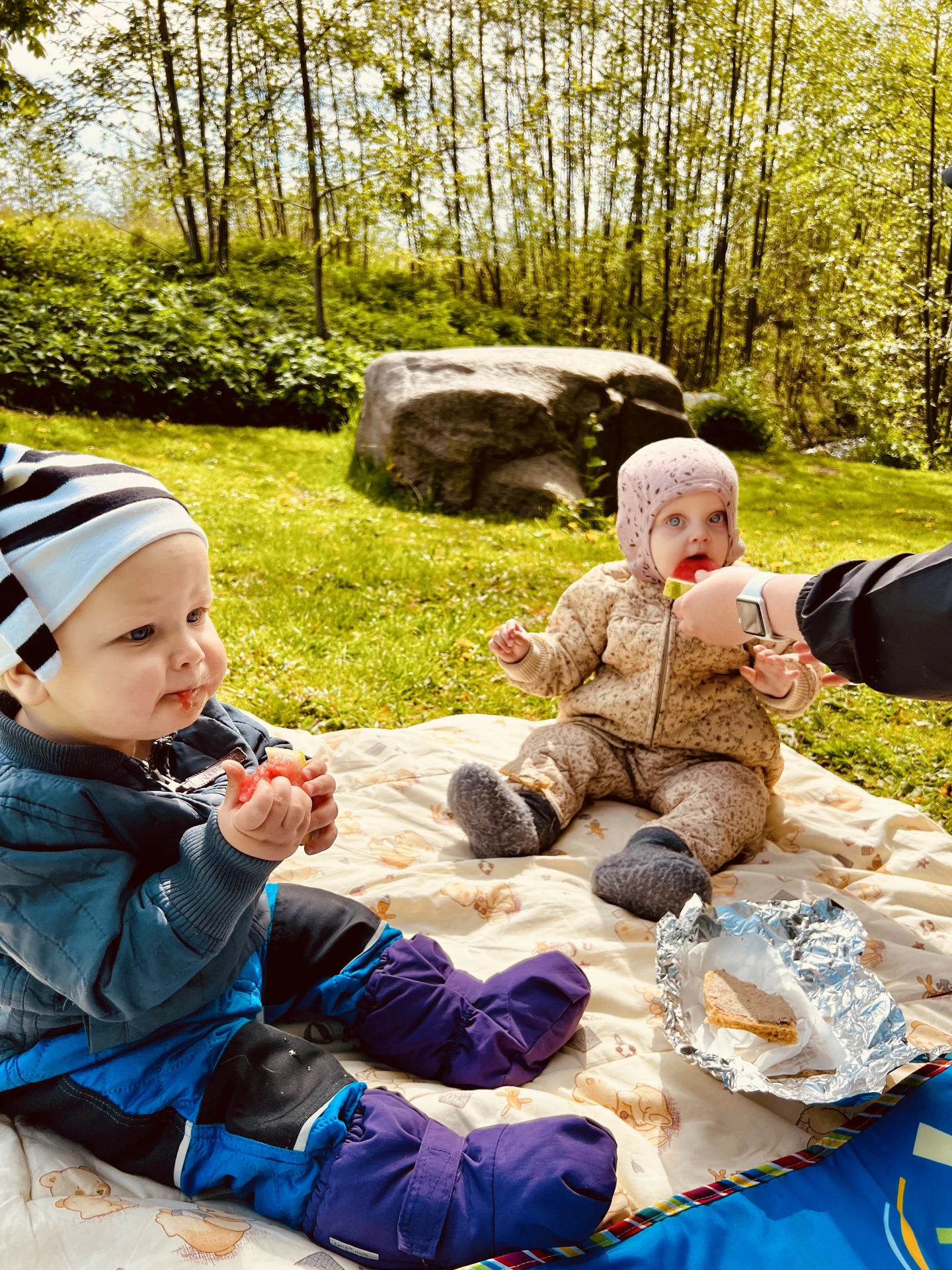 Solsikken Privat Pasningsordning: En Dag Fyldt Med Udeliv, Oplevelser og Hygge!