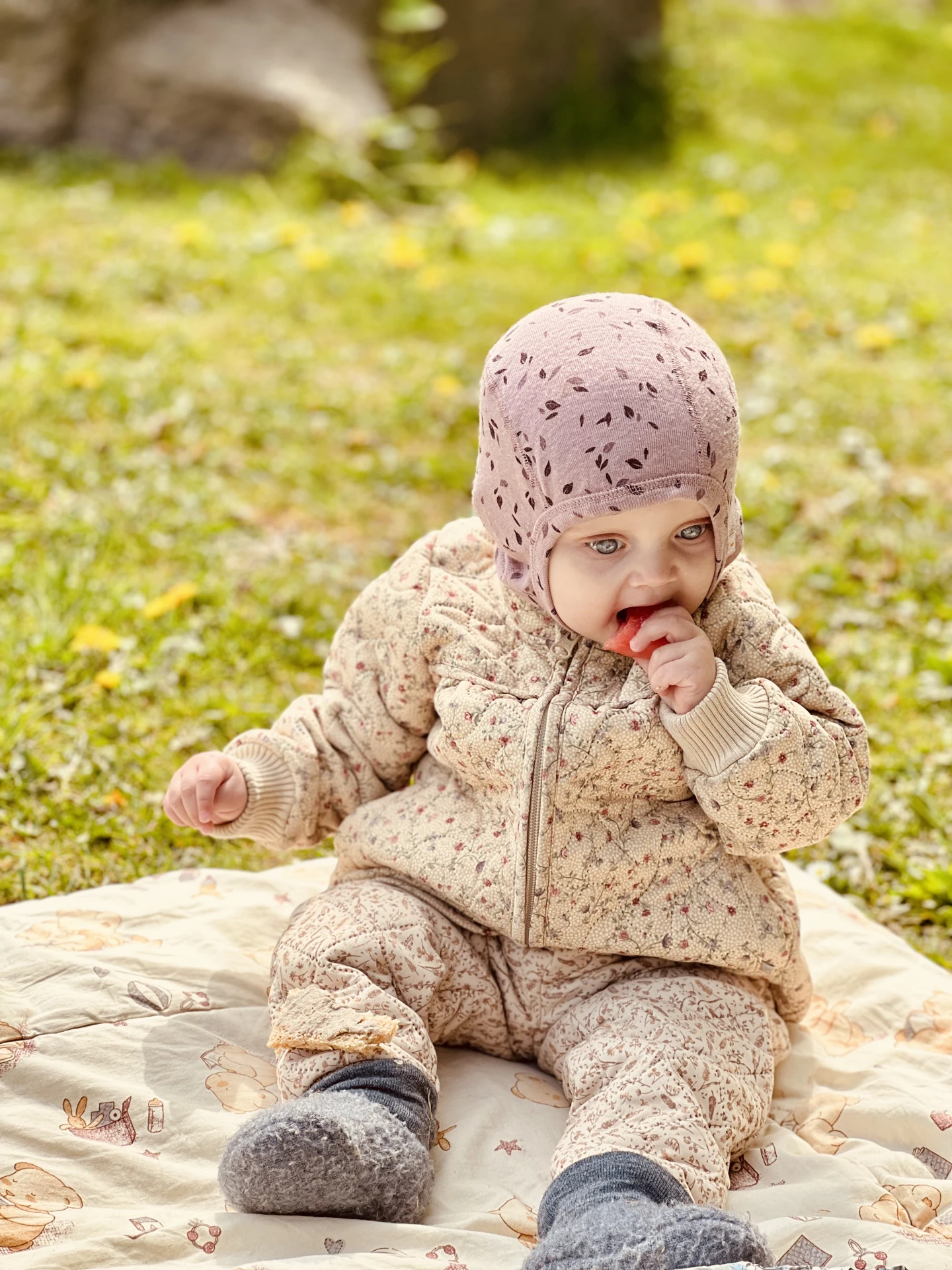 Solsikken Privat Pasningsordning: En Dag Fyldt Med Udeliv, Oplevelser og Hygge!